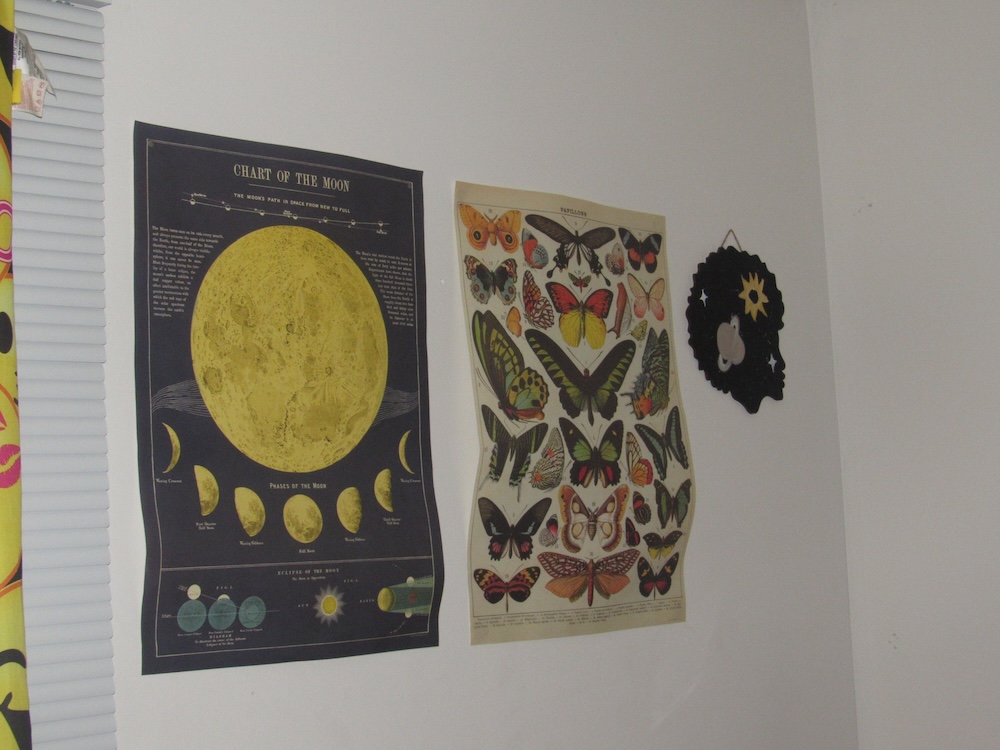 a picture of the posters hanging in my room.