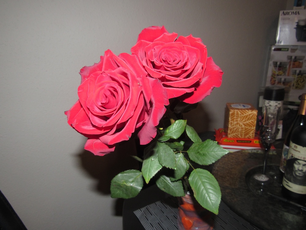 a picture of roses in my grandmas house.