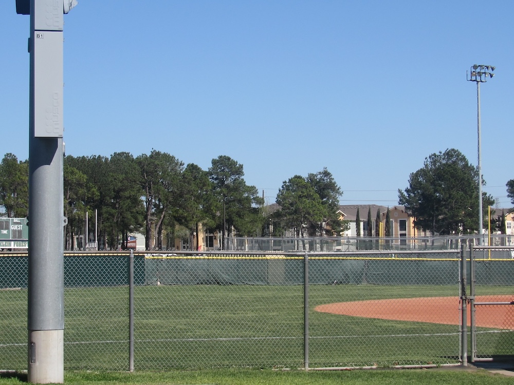 a picture of trees on the softball field from a distance.
